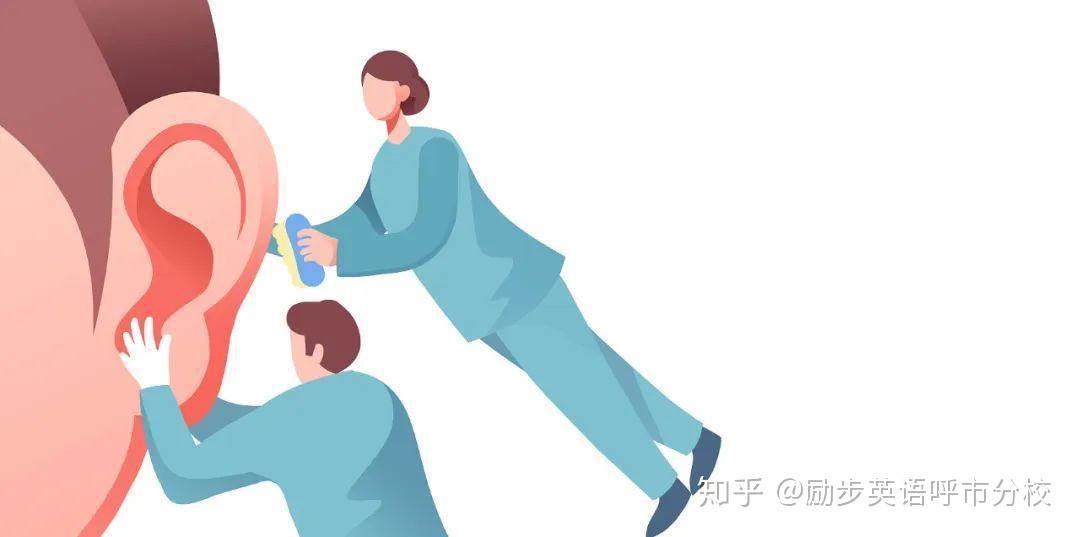 耳朵英语拼写_耳朵英语单词_一对耳朵英语