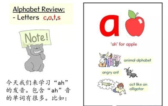 学英文拼音_先学拼音还是先学英语_学拼音英语怎么说
