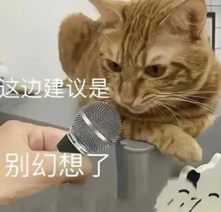 雅思托福哪个好考_雅思好托福好_考雅思考托福