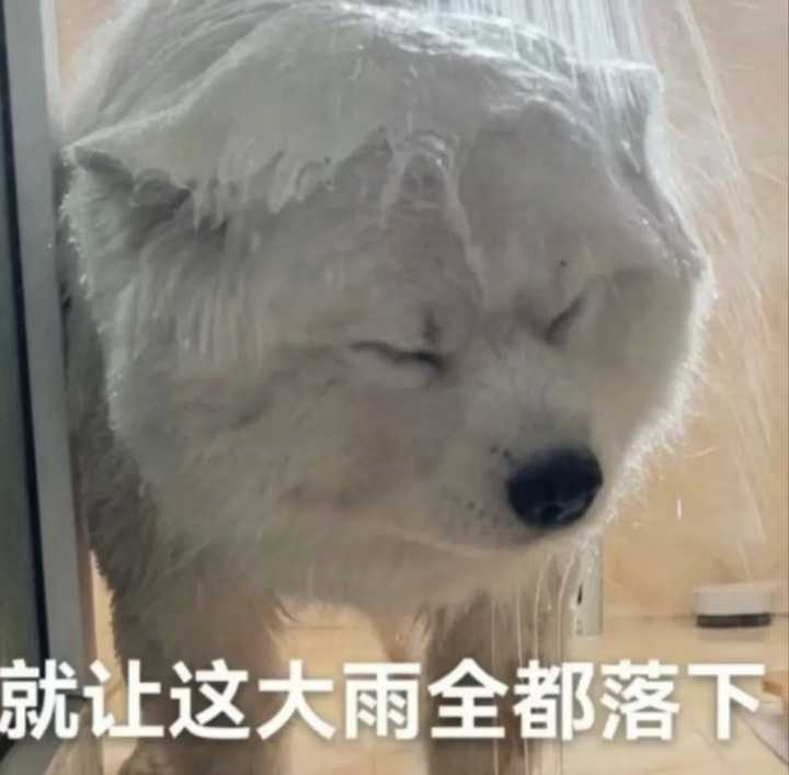 考雅思考托福_雅思好托福好_雅思托福哪个好考