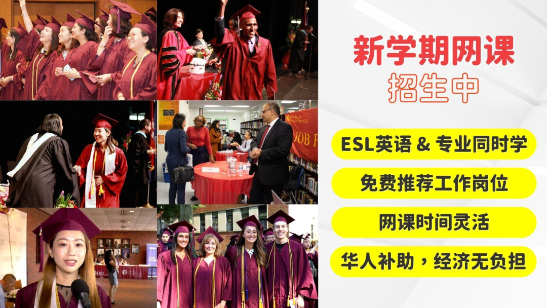 网络课程英语_网课英语课程_网络课程英文