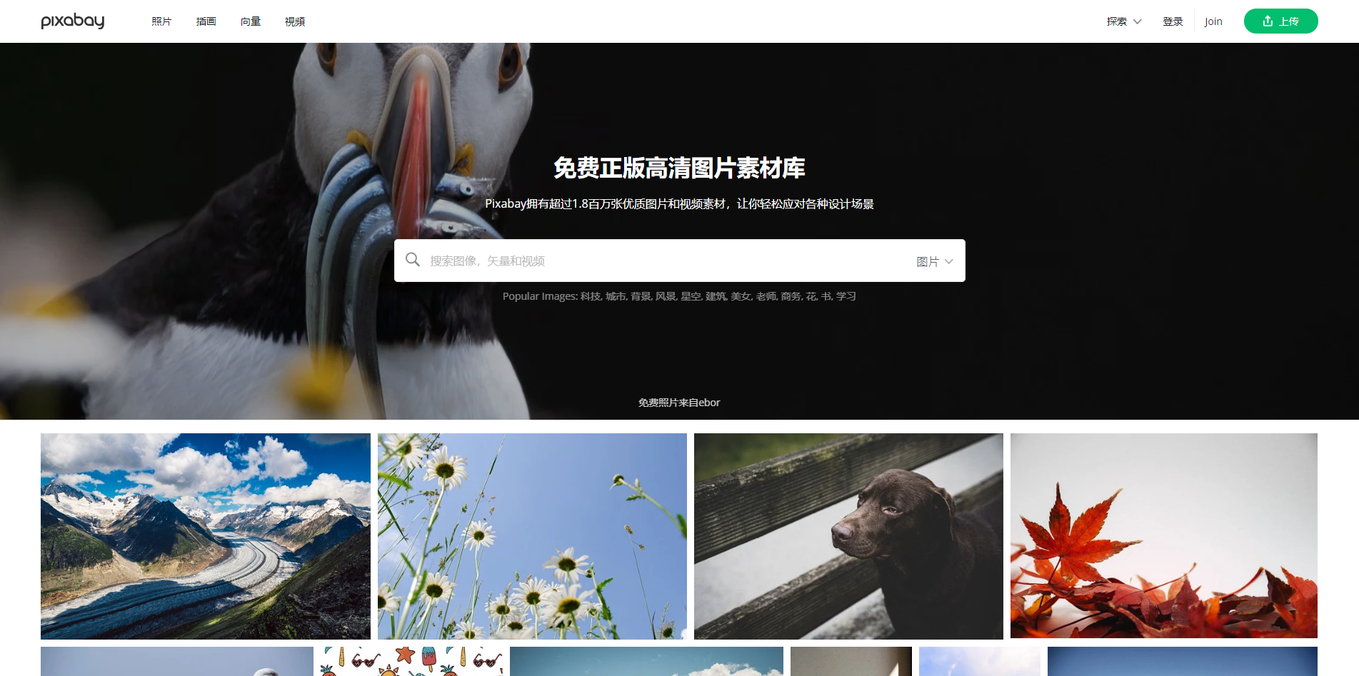 英语ppt模板免费_英语模版ppt_ppt模板免费下载英语