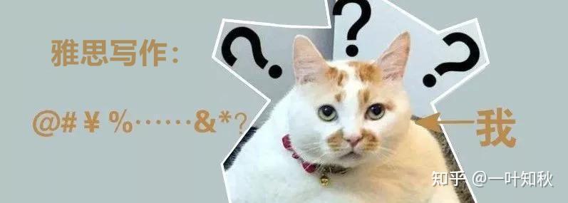 成人自学英语能学会吗_自学成人能学会英语嘛_成人自学英语怎么开始