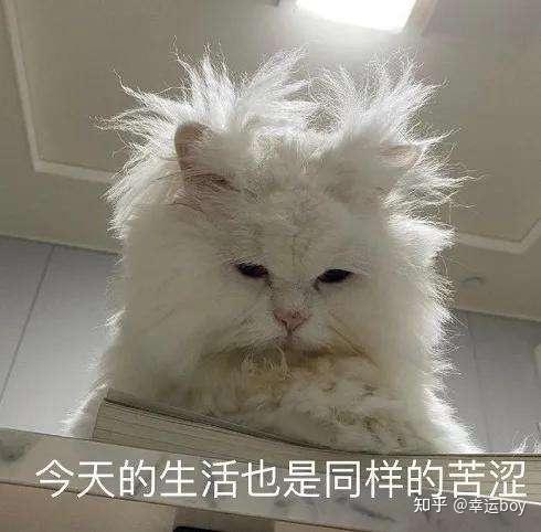 考研英语应该学多久_考研英语应该怎么学_考研英语应该学什么