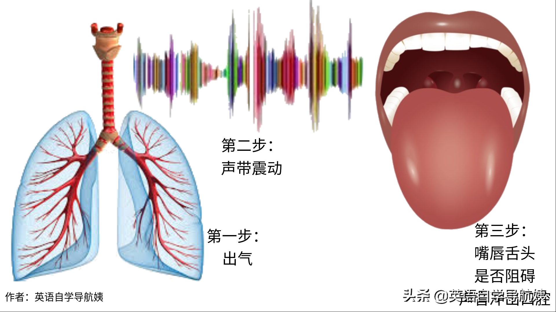字母辅音有几个_字母辅音有多少个_辅音字母有哪些?