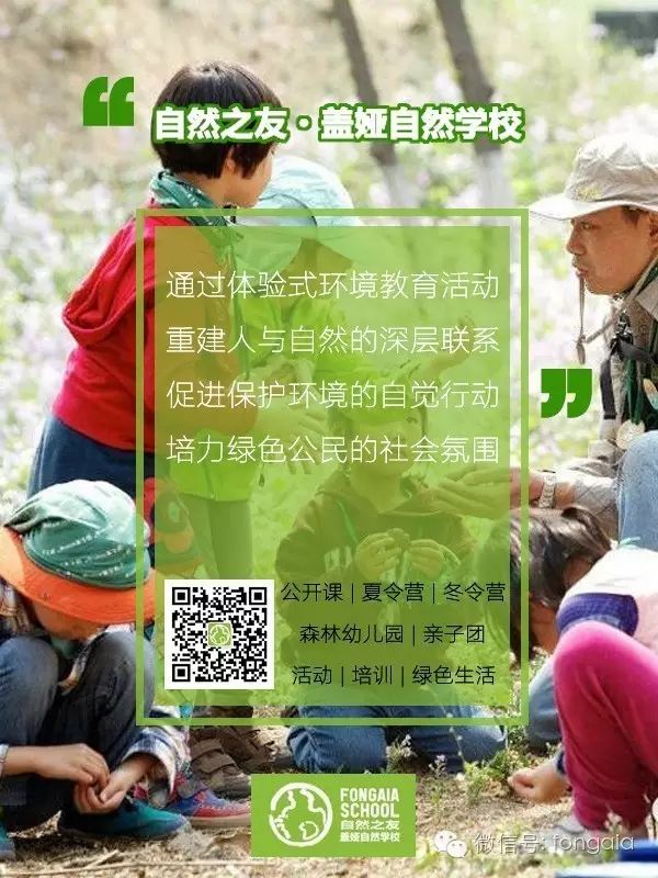 深圳松鼠教育培训机构怎么样_深圳松鼠培训机构好吗_深圳松鼠教育培训怎么样
