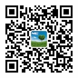 英语有哪些时态_英语时态有多少种分别是_英语时态有多少