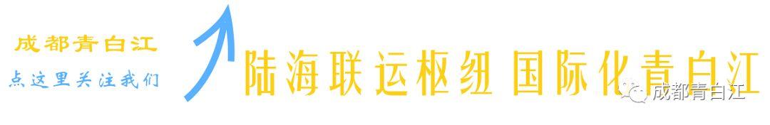 教育培训机构外教_成实外教育培训机构_培训机构外教管理规定