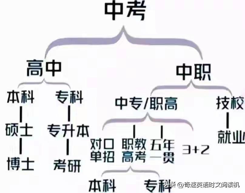 培训班英语教学视频_英语培训教育_英语教培