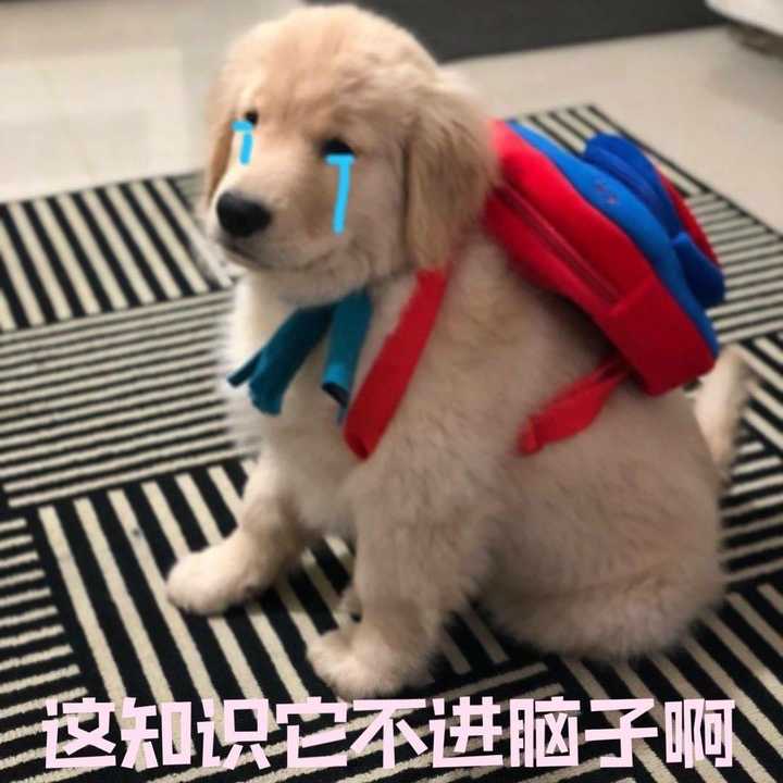 高考英语网课老师推荐_高考英语网课谁讲得好_高考英语网课老师天花板