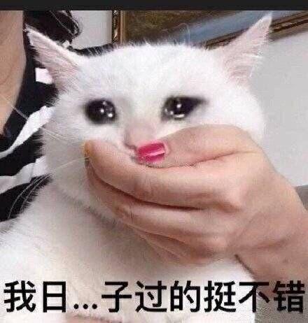 高考英语网课老师天花板_高考英语网课老师推荐_高考英语网课谁讲得好
