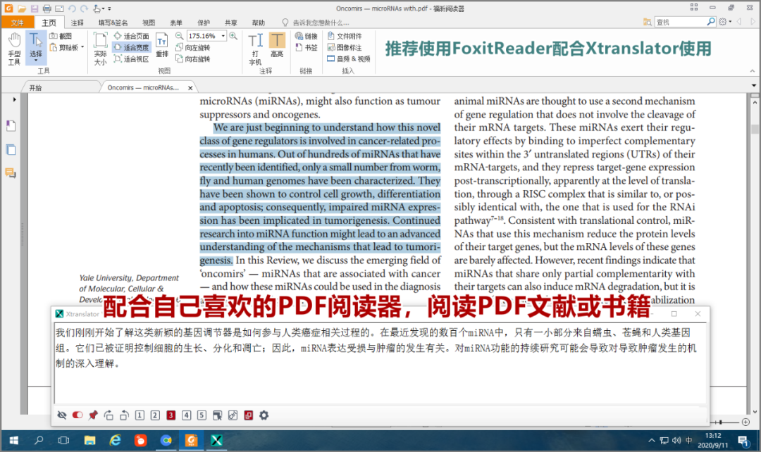 怎么自动英文网页_英文网页_怎么英文网页
