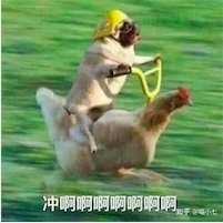 收到 英语口语_英语口语收到_收到口语copy