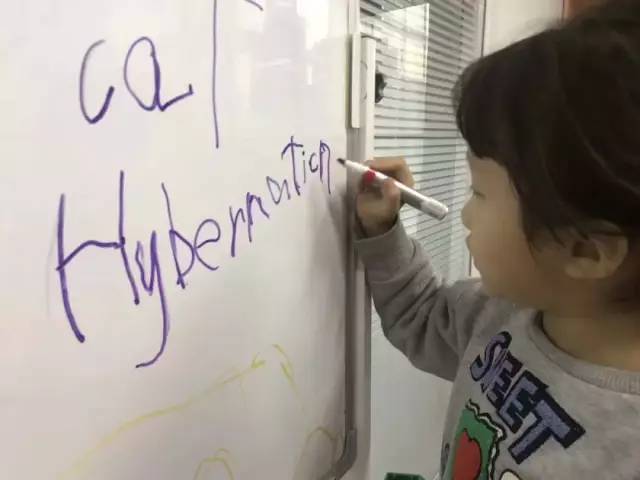 英语基础学好了_英语开始基础学好吗_英语基础不好从哪里开始学英语