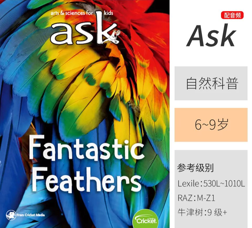 学英语的报刊_学英语报刊杂志_学英语报刊