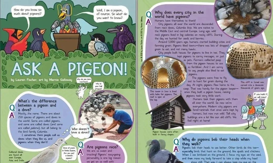 学英语报刊_学英语报刊杂志_学英语的报刊