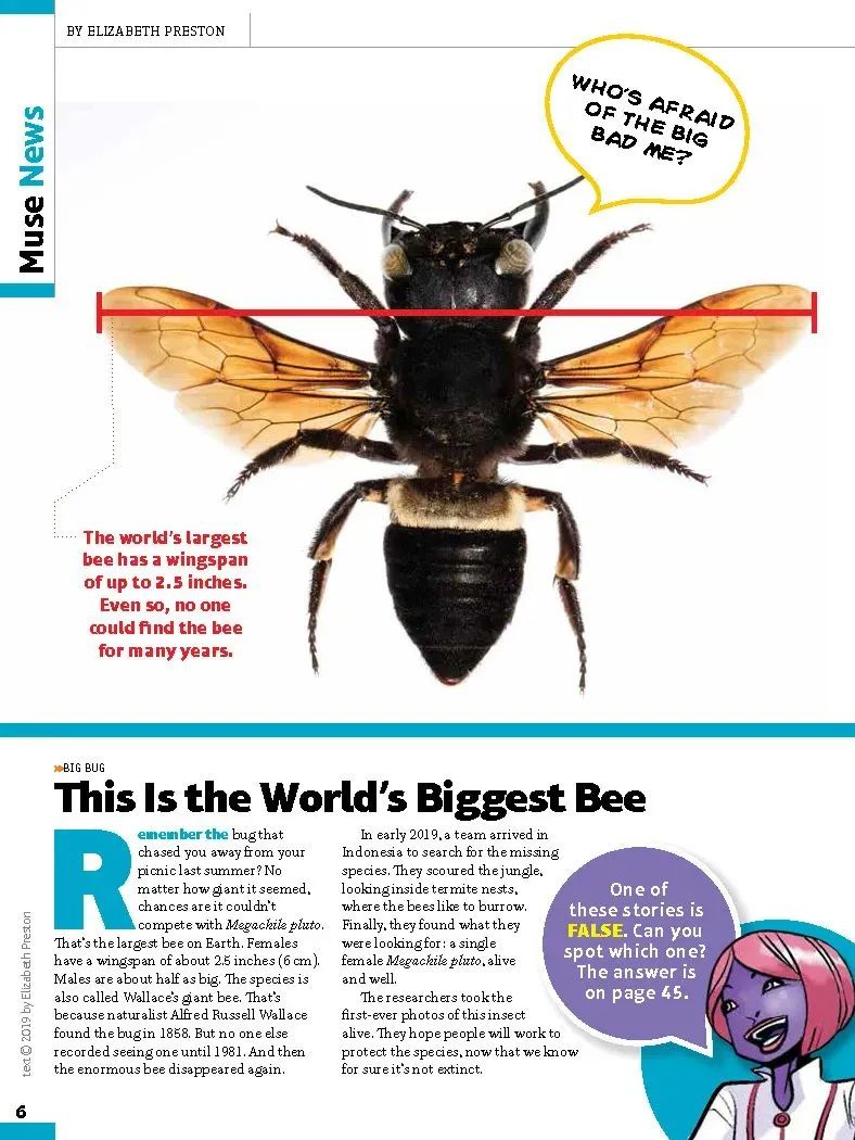 学英语报刊杂志_学英语报刊_学英语的报刊