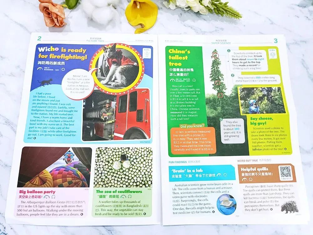 学英语的报纸杂志_学英语报刊_学英语的报刊