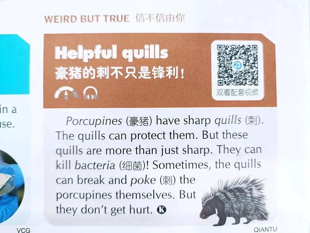 学英语报刊_读报刊学英语年度合集_学英语的报刊