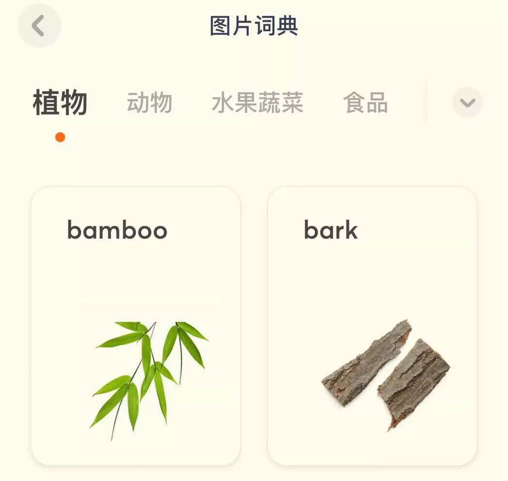 启蒙英语软件会有思想渗透吗_启蒙英语软件app_英语启蒙软件