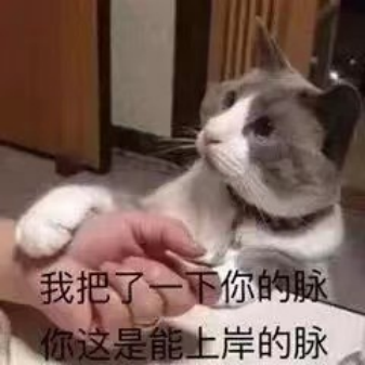 英语打基础网课_英语基础知识从零开始网课_英语基础知识从零开始的软件