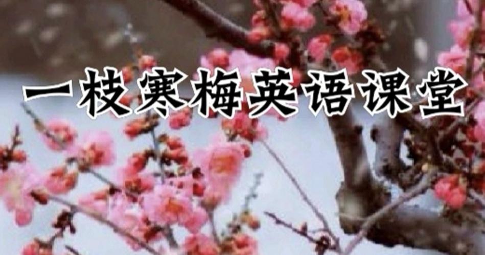 学习英语的重要性的英语作文_学习英语带来的影响英语作文_英语学习内容