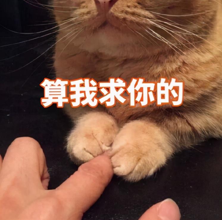 英语口语的重要_口语英语的重要性英语作文_英语口语的重要性