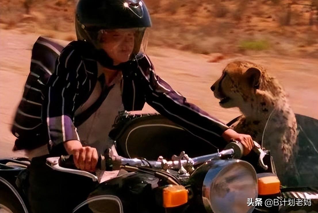 动物学英语单词_学英语动物_动物学英语