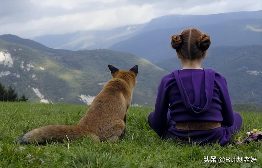 动物学英语_学英语动物_动物学英语单词