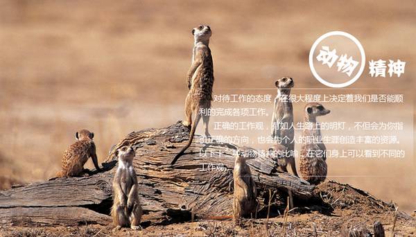 英语学习方法有哪些_英语学习方法有哪些_英语学习方法有哪些