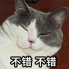 学习软件英语_学英语软件英语_英语学习app