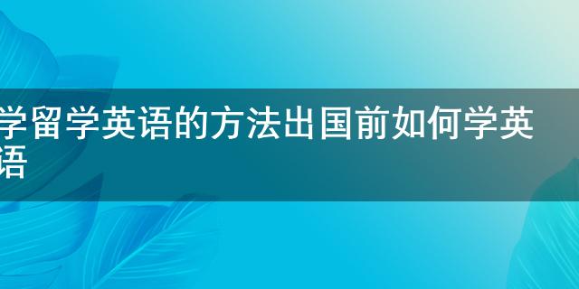 童出国前学英语_留学前英语培训哪家好_出国留学前怎么学英语