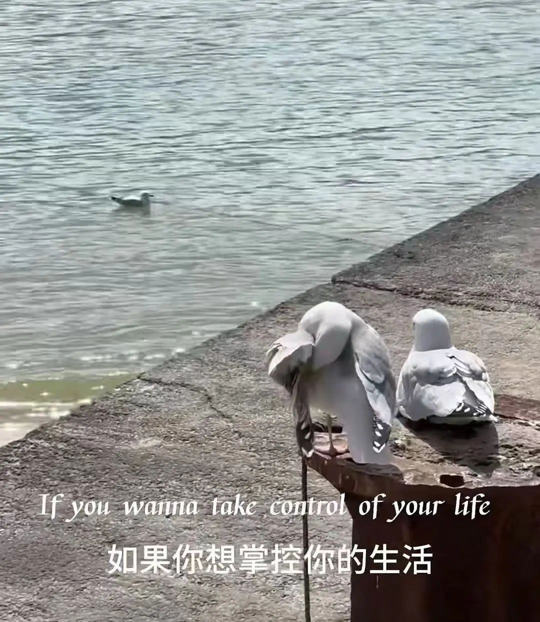 一对一成人英语外教班_成人外教英语班怎么样_成人外语班收费大概多少