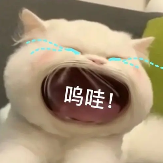 英语基础学法语难吗_零基础学英语二_英语基础学什么