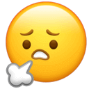 英语基础学什么_零基础学英语二_英语基础学法语难吗