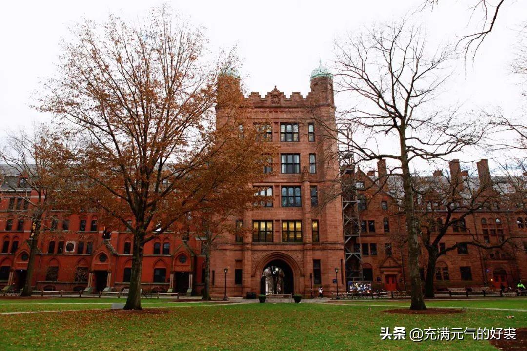 嗯刚开始学英语_开始学英语的英文怎么写_35岁开始学英语