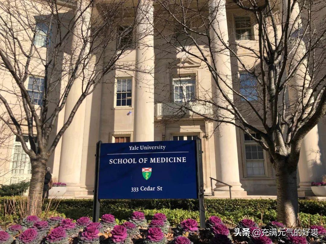 嗯刚开始学英语_开始学英语的英文怎么写_35岁开始学英语
