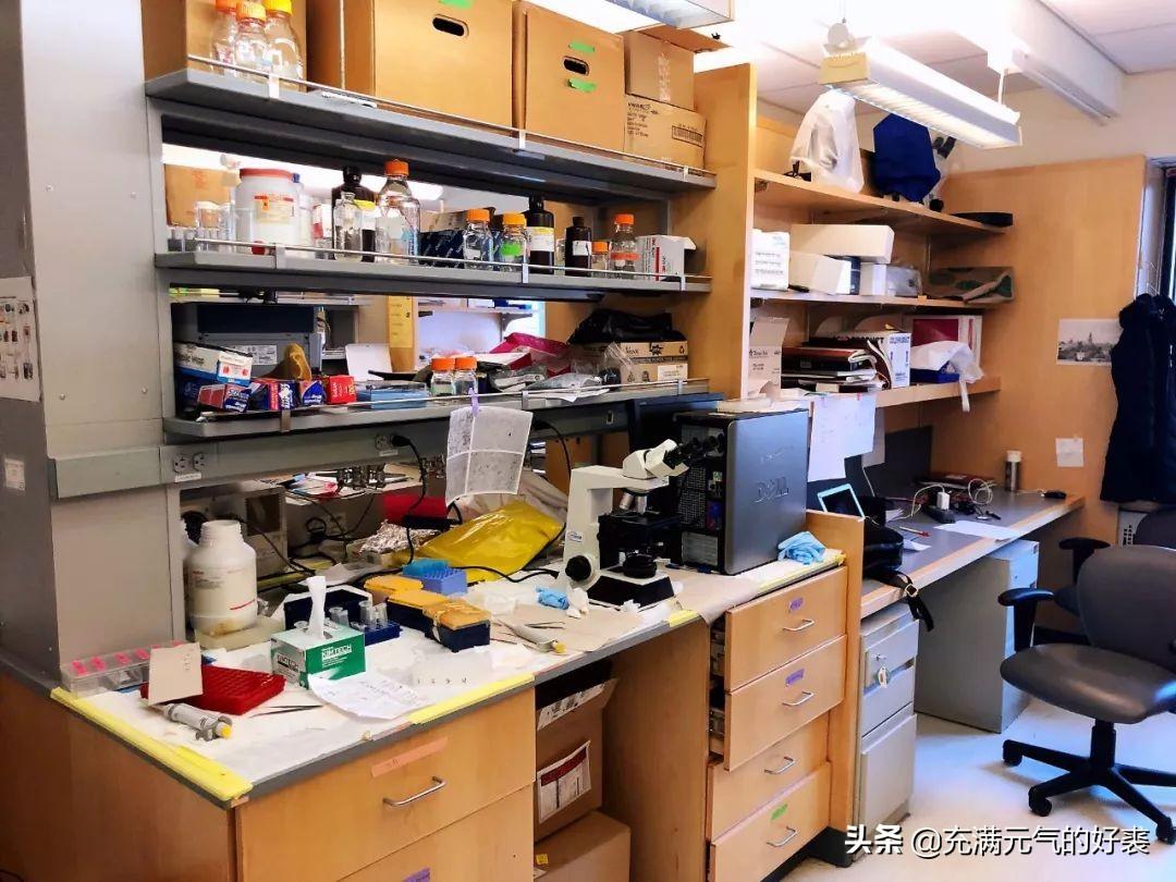 开始学英语的英文怎么写_35岁开始学英语_嗯刚开始学英语
