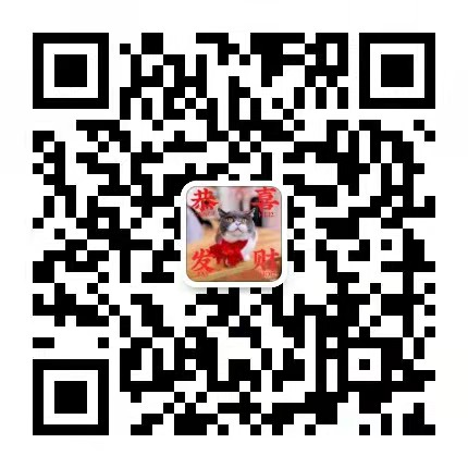 成都雅思机构_成都雅思报班_雅思成都培训
