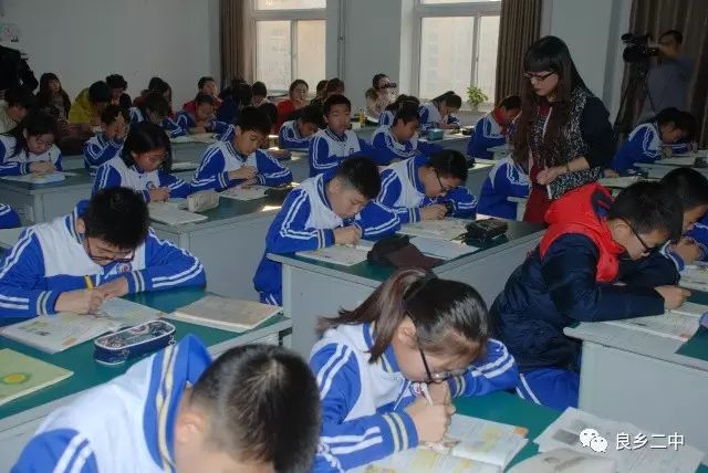 动力沙学英语动物_英语动力_学英语的动力