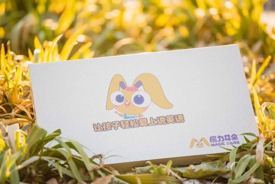英语线上培训学校_英语培训线上_培训英语线上教学总结