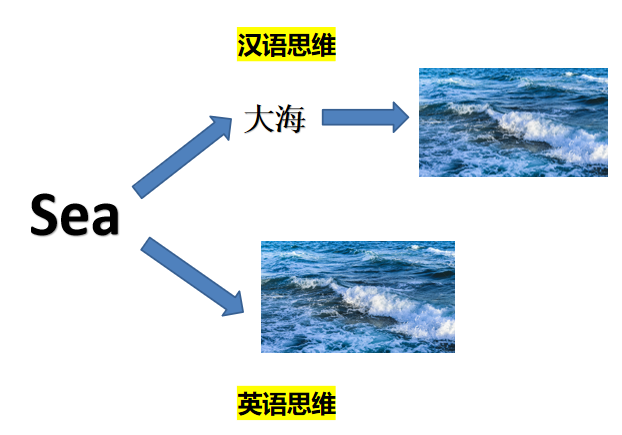 成人学英语怎么学口语_学口语成人英语要多少钱_成人英语口语班有用吗