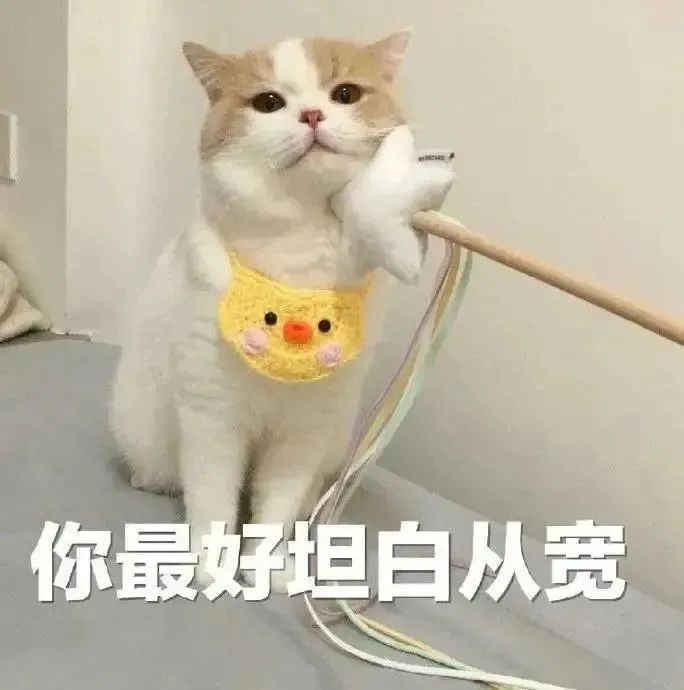 考研英语基础差怎么学_英语零基础考研_考研英语基础词汇有多少