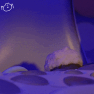 英语零基础考研_考研英语基础词汇有多少_考研英语基础差怎么学