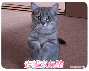 学日语英语_学英语好还是学日语好_学好日语英语
