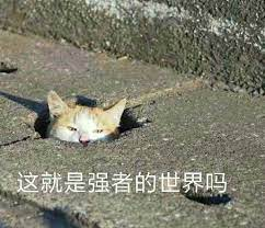 外教课推文_天天向上推荐91外教网_一对一外教博主推荐