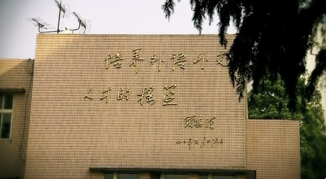 天天向上推荐91外教网_一对一外教博主推荐_外教课推文