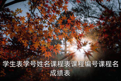 学生表学号姓名课程表课程编号课程名成绩表