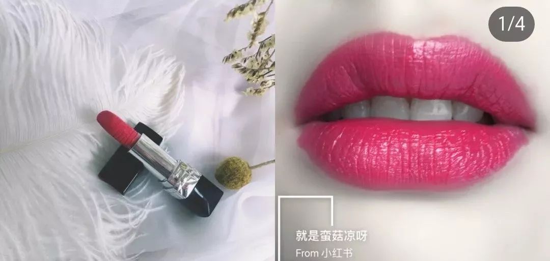 辅导家教样外教可以吗_外教家教一对一辅导怎么样_外教家教多少钱