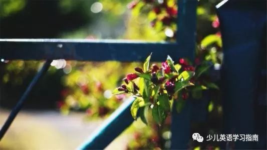 阿卡索外教网咋样啊_外教网阿卡索外教网站_阿卡索外教网在线试听